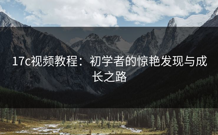 17c视频教程：初学者的惊艳发现与成长之路