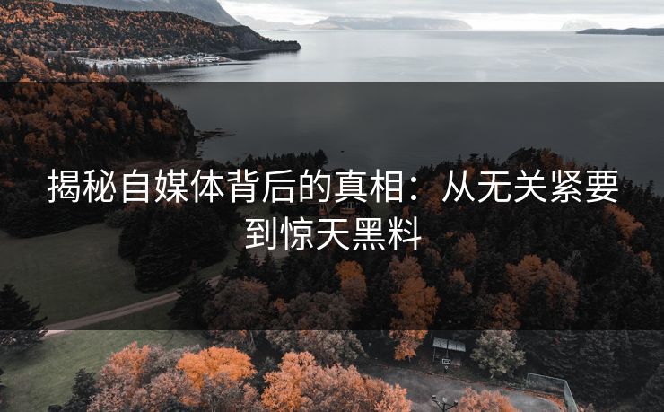 揭秘自媒体背后的真相:从无关紧要到惊天黑料