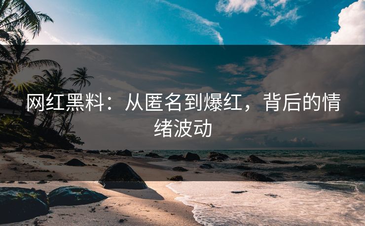 网红黑料：从匿名到爆红，背后的情绪波动