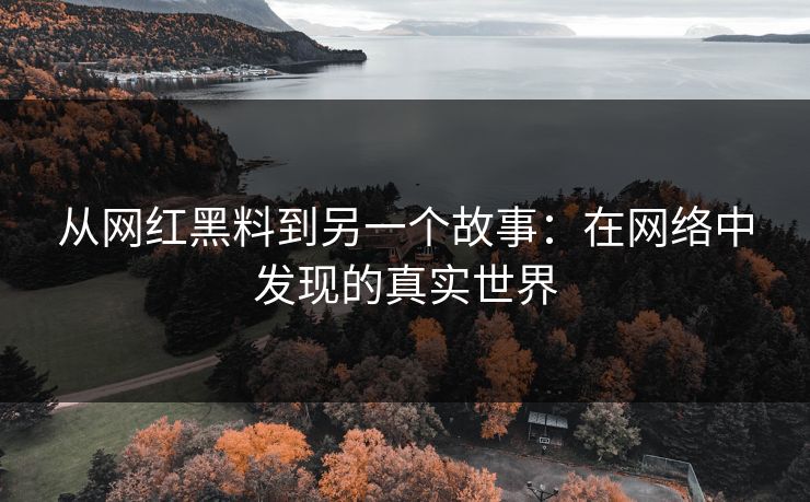 从网红黑料到另一个故事:在网络中发现的真实世界 从网红黑料到另一个故事:在网络中发现的真实世界