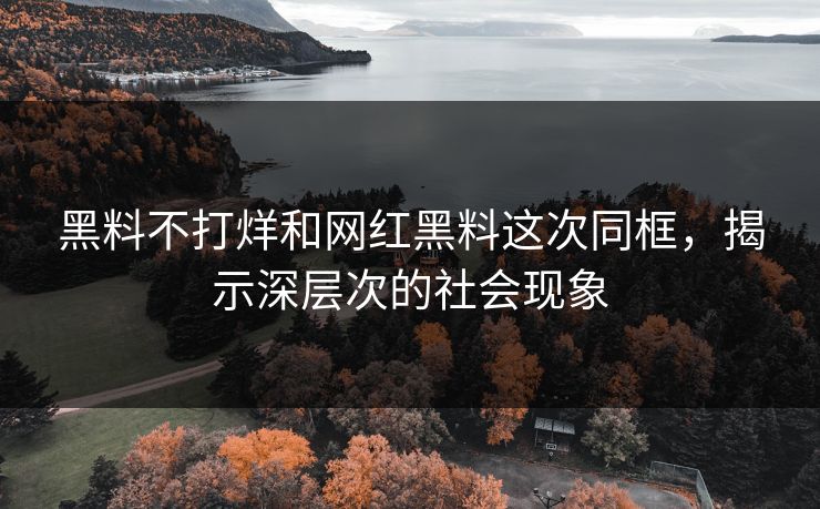 黑料不打烊和网红黑料这次同框,揭示深层次的社会现象 黑料不打烊和网红黑料这次同框,揭示深层次的社会现象